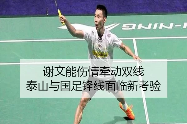 xie-wen-neng-shang-qing-qian-dong-shuang-xian-tai-shan-yu-guo-zu-feng-xian-mian-lin-xin-kao-yan-2-485.jpg