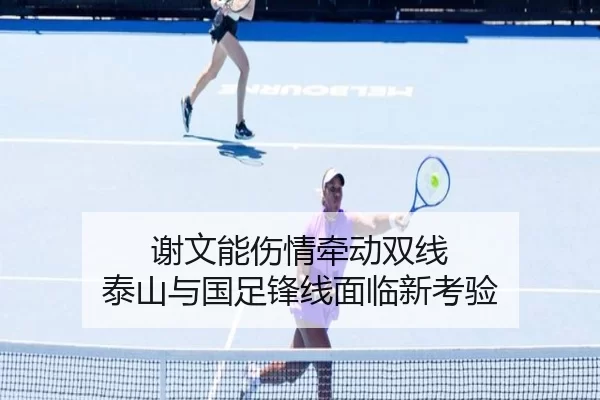 谢文能伤情牵动双线 泰山与国足锋线面临新考验